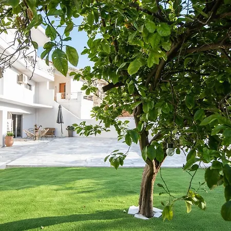 Apartment Garden In I *
